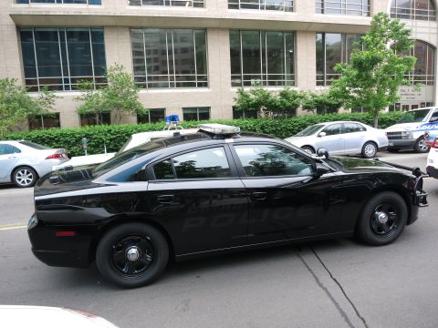 Black Dodge Charger police car with subdued markings parked by shrubs
