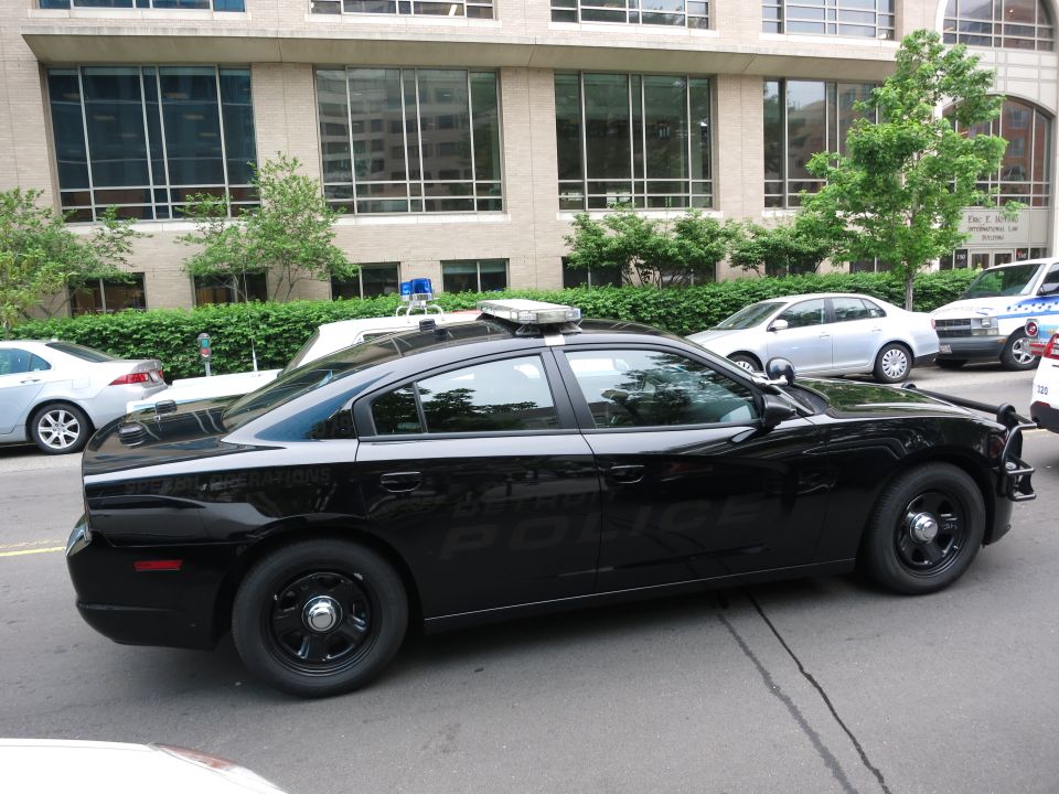 Black Dodge Charger police car with subdued markings parked by shrubs