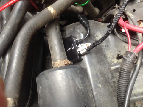 1992 Ford F-150 - Engine bay components including hoses, wiring, and a black module are visible in this close-up shot.