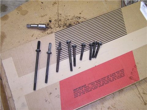 1993 Ford Bronco - Various bolts and a socket wrench are laid out on a piece of cardboard.