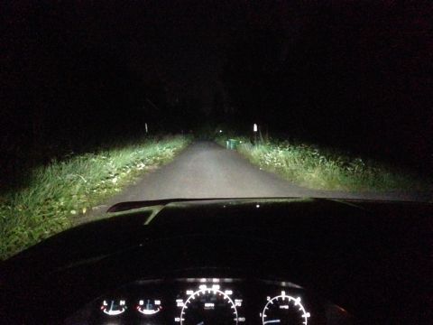 1992 Ford F-150 - The interior of a vehicle at night, with its headlights cutting through the darkness on a country road.