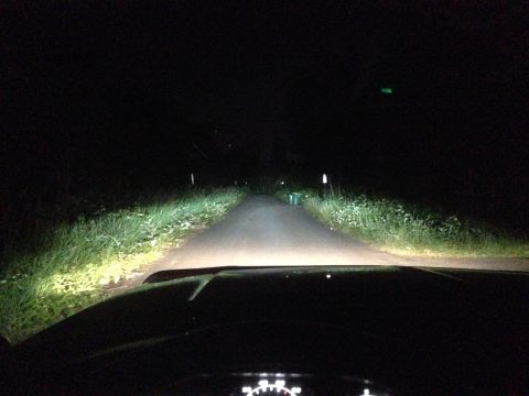 1992 Ford F-150 - Driving at night with headlights illuminating a rural road. Dashboard gauges are faintly visible.