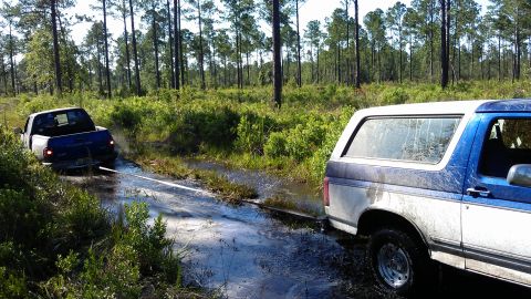 1994 Ford Bronco - A blue and white Ford Bronco is stuck in the mud, pulling a blue pickup truck out of a watery ditch.
