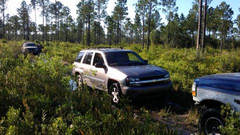 1994 Ford Bronco - Several SUVs traverse a muddy, wooded path on a sunny day.