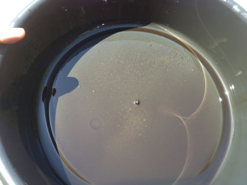 1961 International Scout 800 - Used engine oil collected in a drain pan, indicating a recent oil change or engine issue.