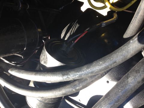 1988 Ford Bronco - Close-up view of various hoses and wiring within an engine compartment.