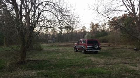 1994 Ford Bronco photo