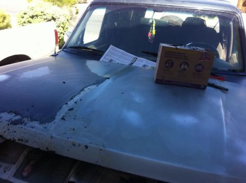 1994 Ford Bronco - Hood of a vehicle undergoing preparation for a new paint job, with supplies on top.