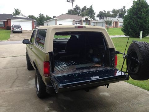 1994 Ford Bronco - This 1994 Ford Bronco is shown from the rear with its tailgate open, revealing the cargo area and a spare tire mounted externally.