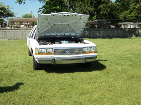 2004 Mercury Grand Marquis - This white sedan's grille and headlight design suggest an earlier model year than the registry claims.