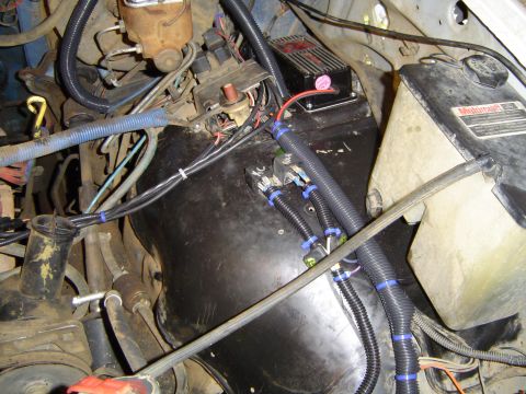1989 Ford Bronco - Close-up view of the engine bay, showing various wires, hoses, and a Motorcraft fluid reservoir.