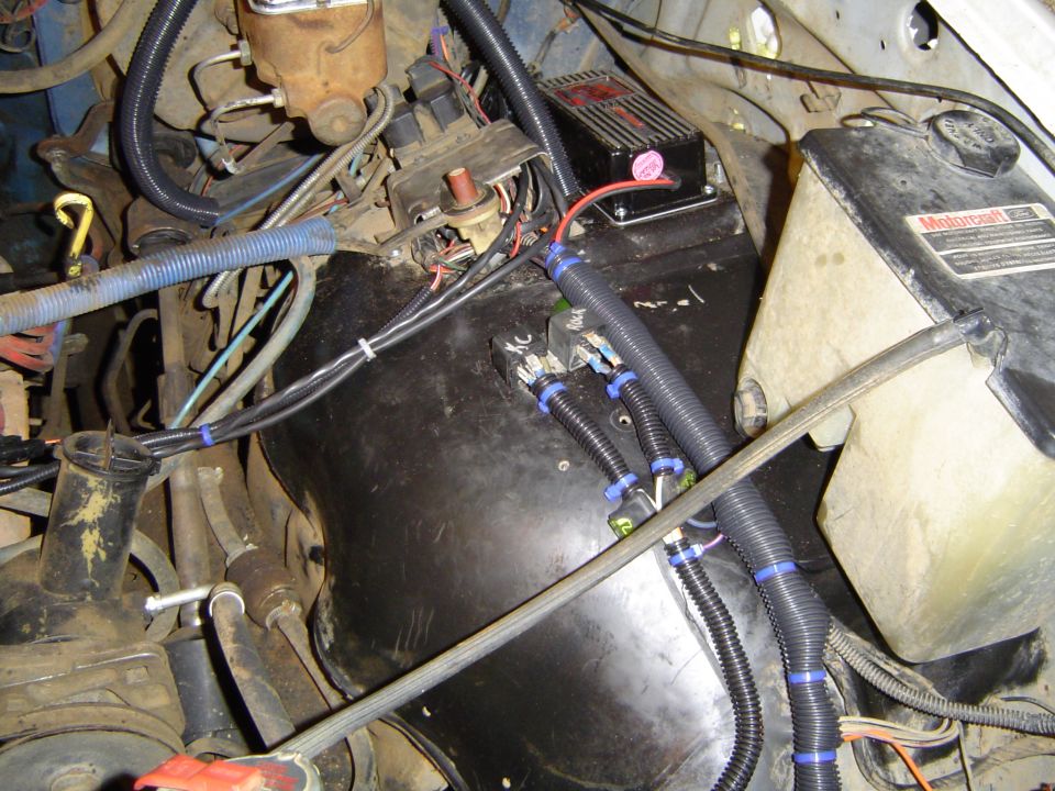 Engine bay wiring and components, including a Motorcraft reservoir