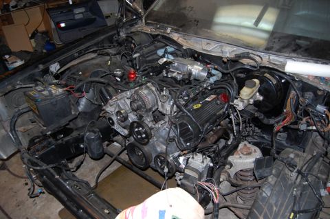1985 Mercury Grand Marquis “BIGNSLOW”