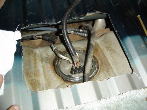 1996 Ford Bronco - This photo shows the fuel pump assembly, disconnected from its housing, with fuel lines and electrical connectors visible.