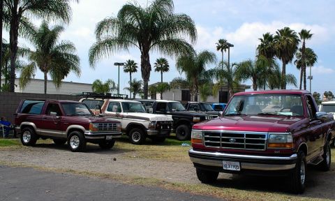 1994 Ford Bronco - Several Ford trucks and SUVs are parked outdoors under palm trees on a sunny day.