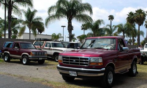1994 Ford Bronco - Several Ford vehicles are parked outdoors under palm trees.