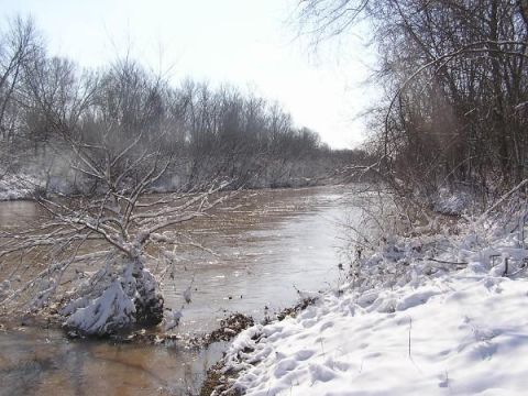 Snowy riverbank with bare trees and muddy water under a bright sky