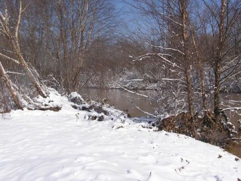 Snowy riverbank with bare trees and brown water