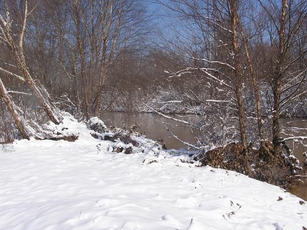 Snowy riverbank with bare trees and brown water