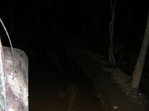 View from inside a vehicle driving on a muddy path at night, trees visible on the side