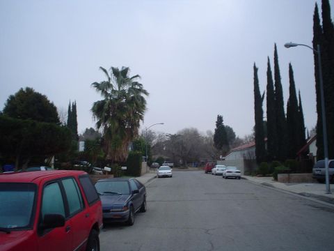 1993 Ford Taurus - A cloudy california morning