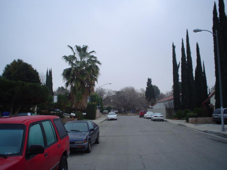 Suburban street with red SUV and blue hatchback parked at curb, tall cypress trees and houses under overcast sky