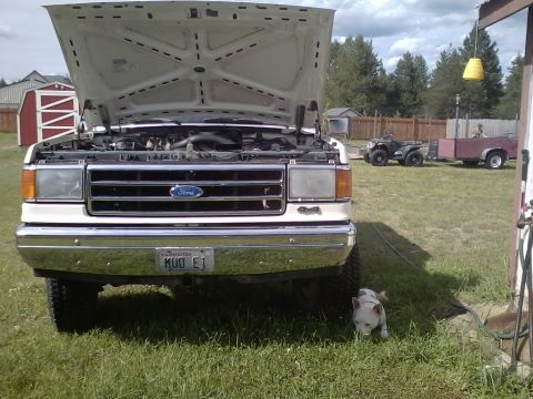 1990 Ford Bronco - Front view of a 1987 Ford F-Series truck, hood up, with an ATV and trailer visible in the yard.