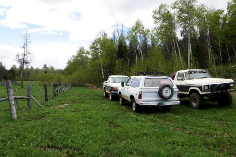 1989 Ford Bronco - Three trucks are parked in a grassy field with a wooden fence and trees.
