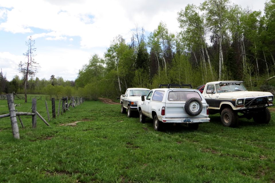 Three trucks parked in a grassy field with trees in the background