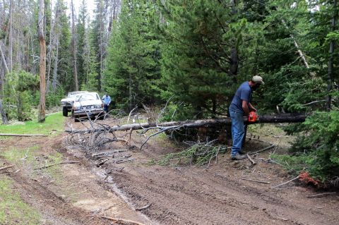 1989 Ford Bronco - A 1989 Ford Bronco navigates a muddy forest road while a man uses a chainsaw to clear a fallen tree.