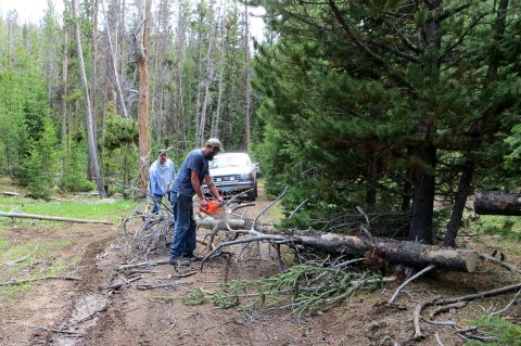 1989 Ford Bronco - Men use a chainsaw to clear a path blocked by fallen trees in a forest, with an SUV waiting behind.