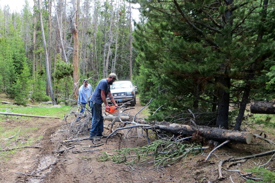 Two men clearing fallen trees from a dirt road with a chainsaw; a white SUV is visible in the background