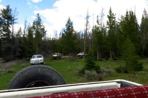 1989 Ford Bronco - Three SUVs parked in a clearing surrounded by pine trees under a partly cloudy sky.