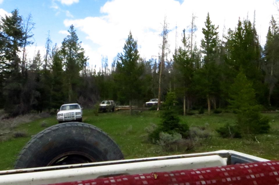 1989 Ford Bronco and two other SUVs parked in a grassy, wooded area