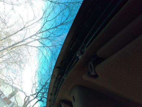 1996 Ford Bronco - View from inside a car's cabin, looking through the windshield at the sky and surrounding trees.