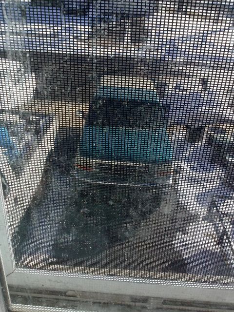 1996 Ford Bronco - Teal SUV seen through a screen, rear view visible.