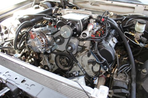 2003 Ford Crown Victoria - Engine bay showing a Kenne Bell supercharger, chrome alternator and serpentine accessory belt with radiator core support in view.