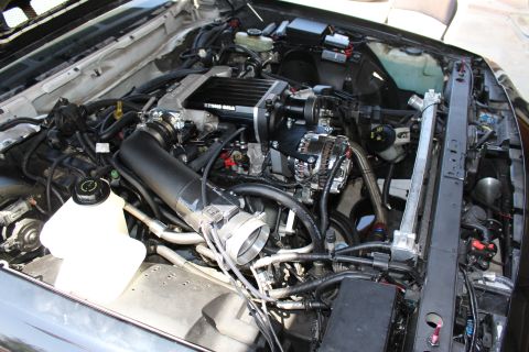 2003 Ford Crown Victoria - Engine bay showing a Kenne Bell supercharger, chrome alternator, brake reservoirs and a routed wiring harness across the bay.