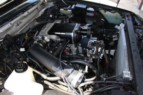 2003 Ford Crown Victoria - Engine bay shot of a V8 fitted with a black Kenne Bell supercharger, chrome alternator and large black intake tube.