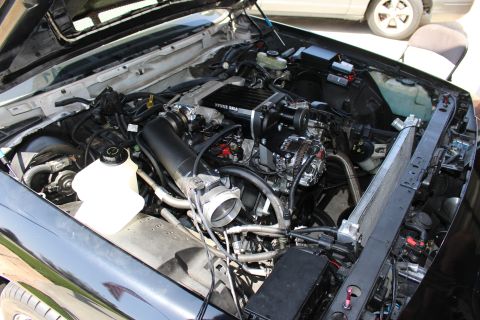 2003 Ford Crown Victoria - Overhead engine-bay view of a V8 with black intake plumbing, throttle body and brake master cylinder under an open hood.