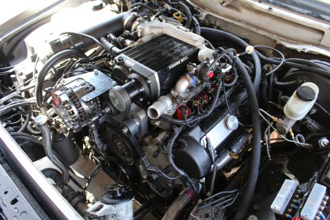 2003 Ford Crown Victoria - V8 engine bay showing a black Kenne Bell supercharger, polished throttle inlet, alternator and brake master cylinder.