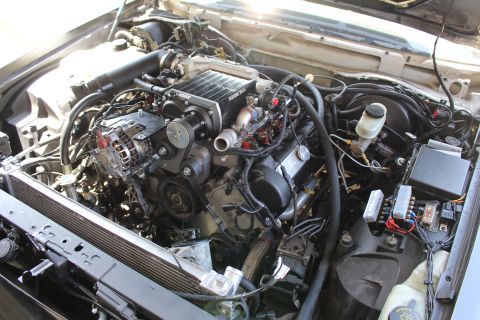 2003 Ford Crown Victoria - Detailed engine bay view of a supercharged motor with chrome alternator, intake plumbing and red ignition components.