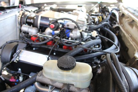 2003 Ford Crown Victoria - Close-up of a supercharged engine top end with translucent coolant reservoir cap and tangle of vacuum and coolant hoses.