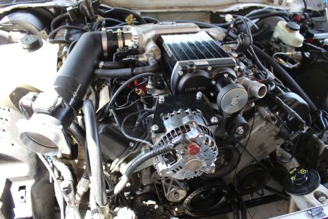 2003 Ford Crown Victoria - Engine compartment view of a Kenne Bell supercharger over a chrome alternator and serpentine belt drive system.