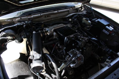 2003 Ford Crown Victoria - Open engine bay of a light-colored car with a supercharged engine, black intake tube and chrome alternator at center.