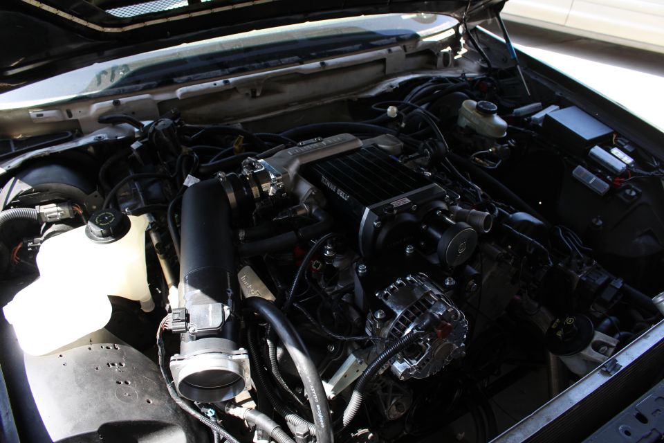 Supercharged engine bay with intake tube and chrome alternator