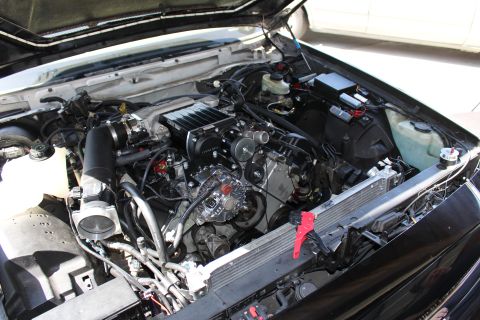2003 Ford Crown Victoria - Engine compartment showing a supercharged motor, chrome alternator, radiator and a red tow hook at front center.