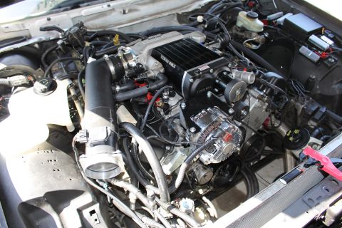 2003 Ford Crown Victoria - Front-on engine bay view showing a supercharger, large throttle body, brake master cylinder and routed wiring.