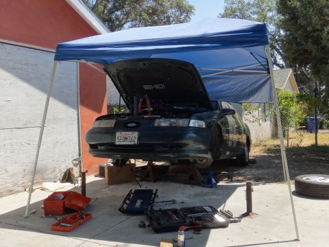 1993 Ford Taurus - A dark green Ford Taurus SHO is parked on jack stands with its hood open, undergoing repairs in a driveway.