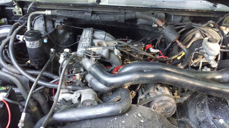 Engine bay with V8 engine components and hoses
